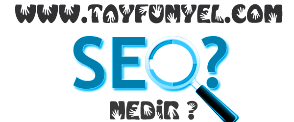 Seo Nedir?