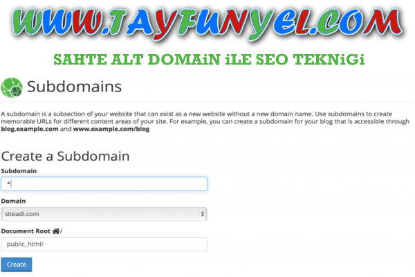 Sahte subdomain ile seo