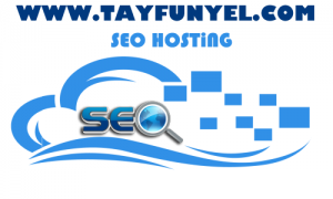 Seo Hosting Nedir